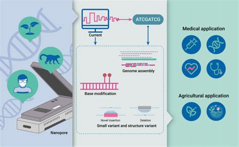 Nanopore Seq Can Dissect Native Dna Rna Molecules From Any Organisms At Download Scientific