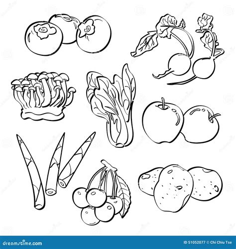 被设置的水果和蔬菜 库存例证 插画 包括有 成份 问题的 例证 背包徒步旅行者 收集 设计 叶子 51052077