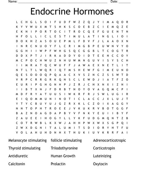 Endocrine Hormones Word Search Wordmint