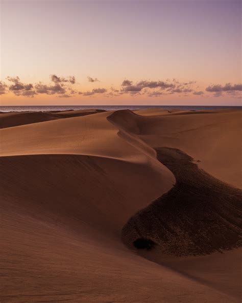 12 Best Things To Do In Maspalomas Gran Canaria Artofit