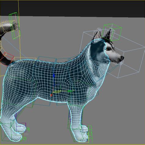 Siberian Husky Rigged 3d Model 27 Fbx Max Obj Unknown Free3d