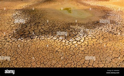 The concept of natural drought of the environment on Earth: dry soil ...