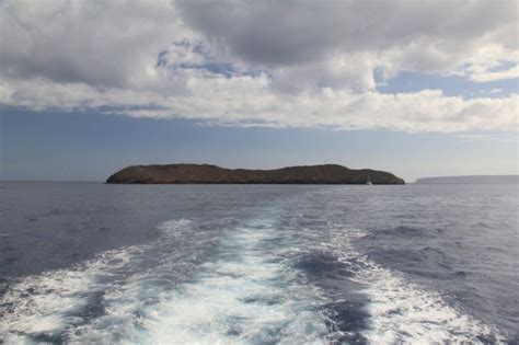 Molokini Crater Underwater Adventure in Maui | Divergent Travelers