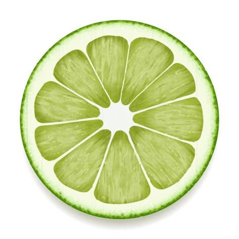 Lime slice vector drawing | Free SVG