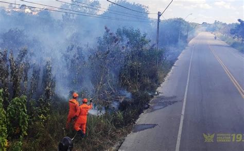 Incêndio em vegetação leva fumaça para AL 205 um dia após engavetamento