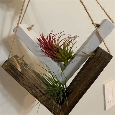 Air Plant Hangers Etsy