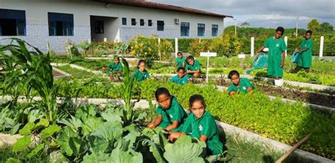 Escola No Campo