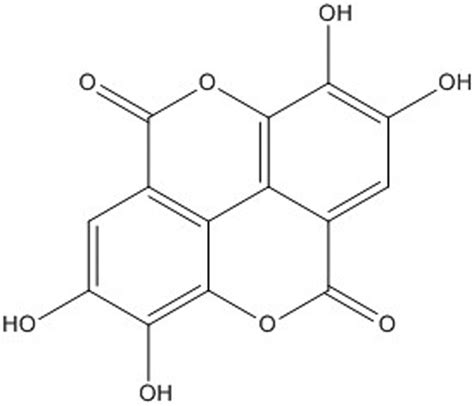 An Overview On The Protective Effects Of Ellagic Acid Against Heavy