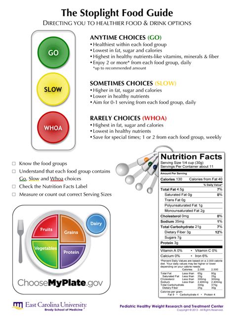 Traffic Light Food Worksheet | Shelly Lighting