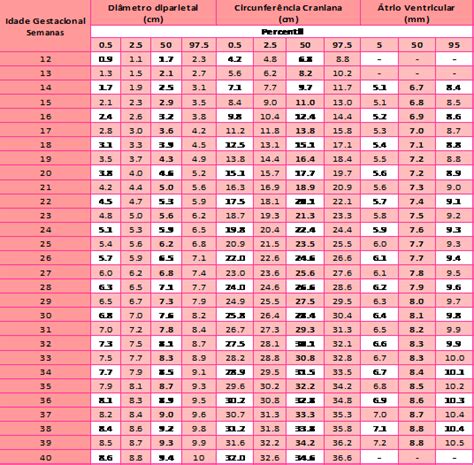 Tablas De Medidas Fetales Circunferencia Abdominal