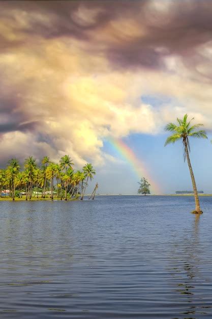 Vista escénica de la isla tropical con cocoteros y hermoso cielo al