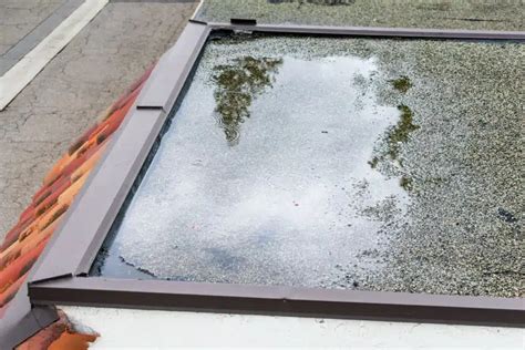 How To Fix Ponding Water On Your Flat Roof Tectum Roofing