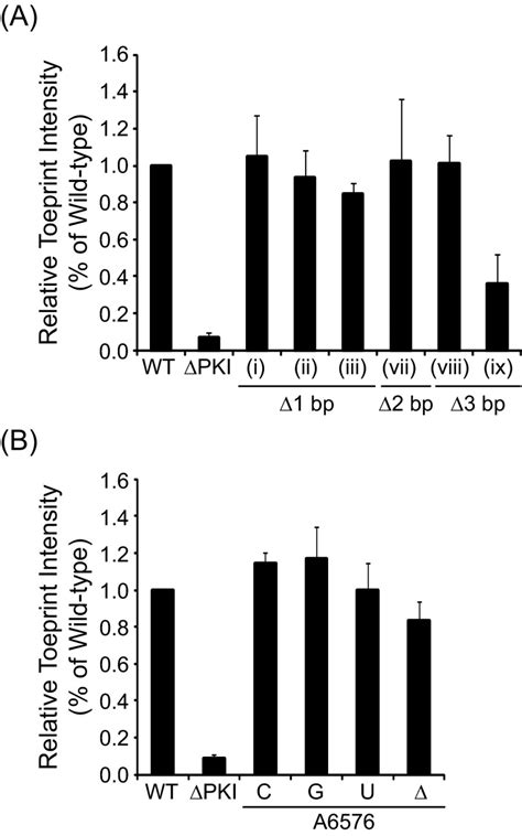 Global Shape Mimicry Of Trna Within A Viral Internal Ribosome Entry