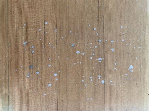 White Spots Showing Up On Wood Floors