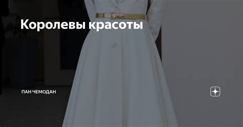 Королевы красоты | Пан Чемодан | Дзен