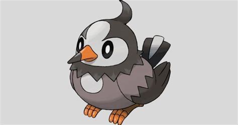 Can Starly Become Shiny in Pokémon Go - Touch, Tap, Play