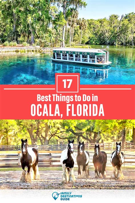 17 Best Things to Do in Ocala, FL (for 2024)