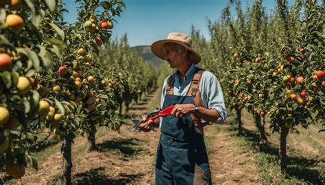 Guide Expert Sur La Taille Des Arbres Fruitiers En France