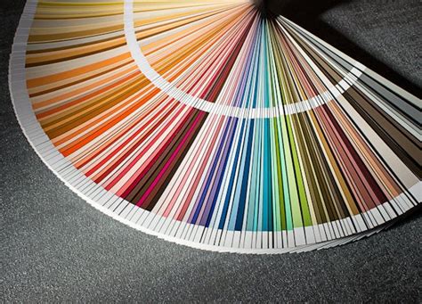 Color Theory 101 For Interior Design And Decor Articles