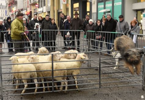 Epinal Animations La Ville Transform E En Ferme G Ante Ce Dimanche