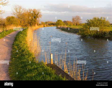 Bridgwater And Taunton Canal Somerset England UK Peaceful Waterway In