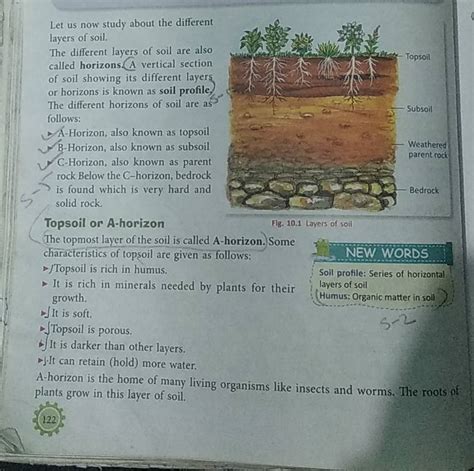 Let Us Now Study About The Different Layers Of Soil The Different Layers