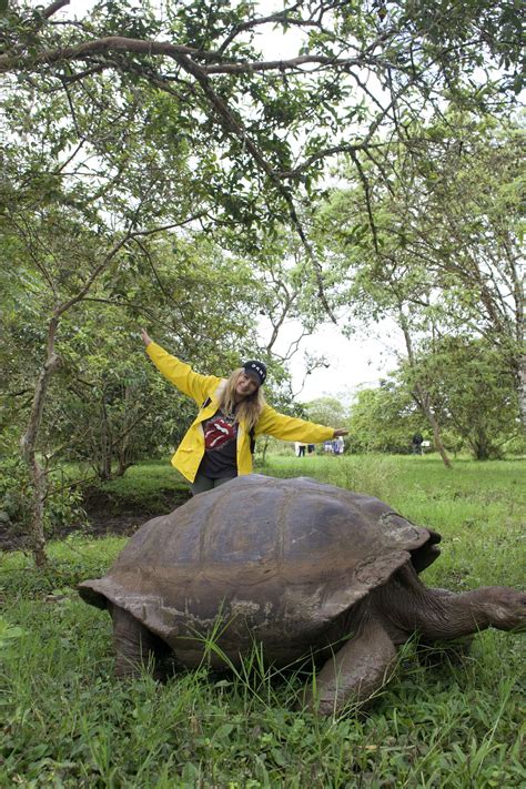 El Chato Tortoise Reserve (Turtle Ranch) in Santa Cruz Island ...