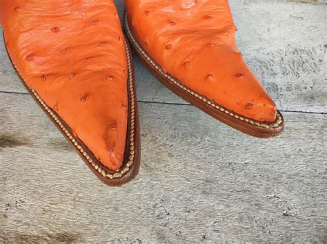 Mexican Pointy Boots 2