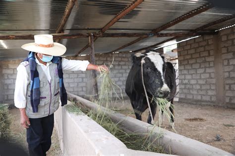 Midagri entrega de fertilizantes y cercos eléctricos a ganaderos en