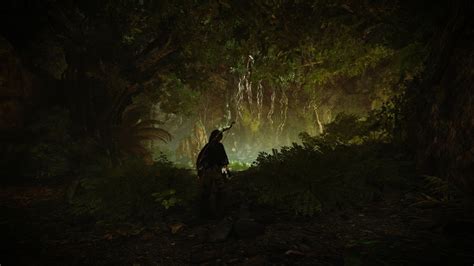 Download Video Game Shadow Of The Tomb Raider HD Wallpaper