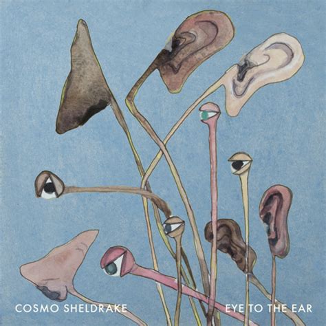 Stream The Snapping Of Shrimp By Cosmo Sheldrake Listen Online For