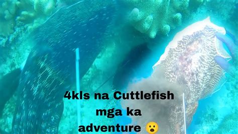 4kls Na Cuttlefish Mga Ka Adventure Sorry Mga Ka Adventure At Nagka