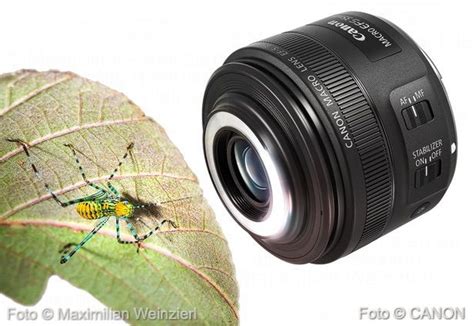Maximilian Weinzierl – Fotografie – Blog: Neu: CANON – Makroobjektiv ...