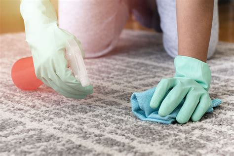 What The Best Way To Get Pet Stains Out Of Carpet At Donna Borrego Blog