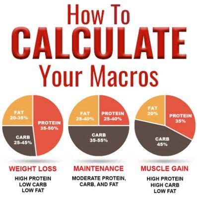 Everything You Need To Know About Macros Artofit