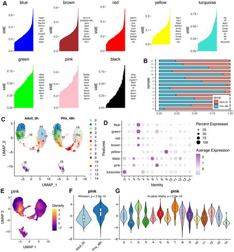 Machine Learning And Single Cell Rna Sequencing Analysis Identifies