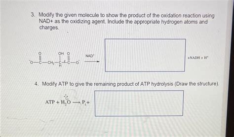 Solved 3 Modify The Given Molecule To Show The Product Of