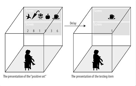 The Sternberg Item Recognition Paradigm Or The Stenberg Short Memory