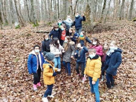 Dans La For T Lointaine Ecole D Urou Et Crennes