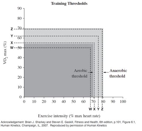 The graph shows training thresholds for aerobic and anaerobi | Quizlet