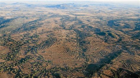 Zimbabwe Short Changing Its Small Scale Farmers The Mail Guardian