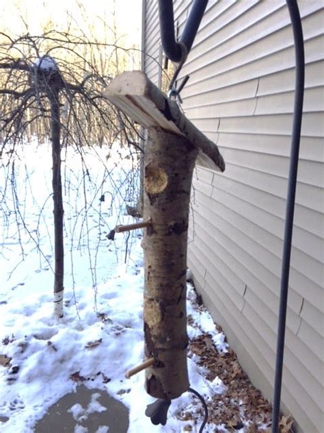 Make A Suet Log Bird Feeder In Under An Hour Our Recipes For Success