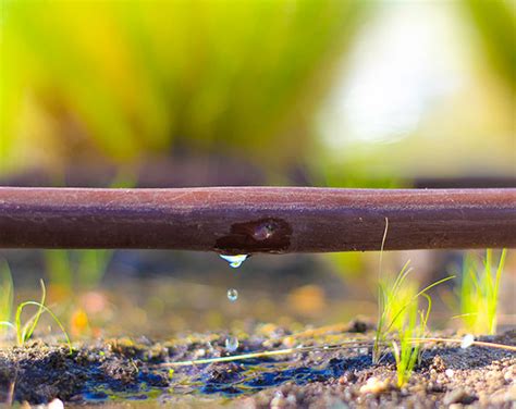 Commercial Irrigation Systems - Gary Stevens Landscape