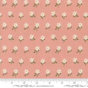 Imaginary Flowers Charm Pack Moda 48380PP 5 Inch Precut Quilt Fabric