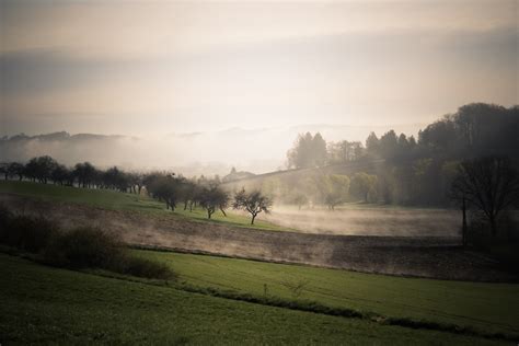 Free Images Landscape Tree Nature Grass Horizon Light Cloud