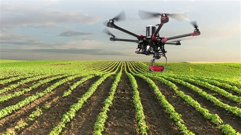 Drones Y Tecnología Punta La Salvación Para Una Agricultura A Distancia