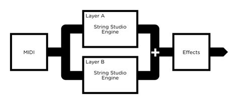 Aas String Studio Vs User Manual