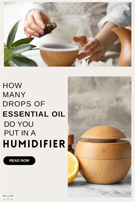 The Top Humidifier with Essential Oils to Transform your Space - TYT