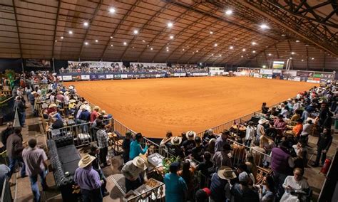 Mangalargada 2023 acontece em Mairinque SP neste sábado 19 08