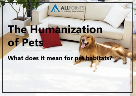 Humanization Of Pets Part 2 Pet Habitats All Points Marketing